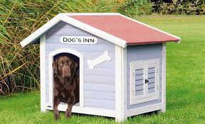 Dog House Ideas The Home Depot