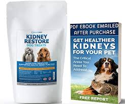 Chewy.com has been visited by 100k+ users in the past month Amazon Com Kidney Restore Dog Treats Restorative Dog Treats For Kidney Issues Low Protein Dog Treats For Any Kidney Diet Dog Food Special Renal Treats For Supporting Good Kidney Health For Dogs