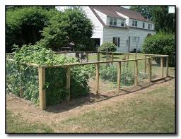 fenced vegetable garden