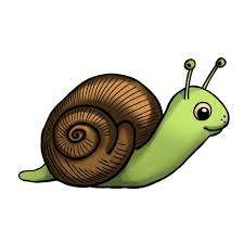 snail drawing 5 easy steps the