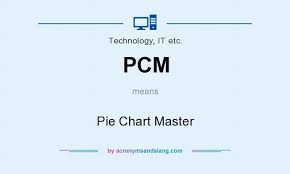 Pcm Pie Chart Master In Technology It Etc By
