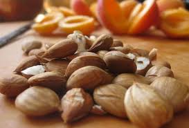 the amazing benefits of apricot seeds