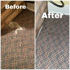 the best 10 carpet cleaning near jersey