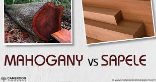 gany vs sapele comparison based on