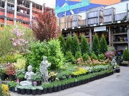 Best Plant S Nyc Offers To Create