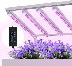 Best 6 Grow Lights For Greenhouse Why We Loved Them