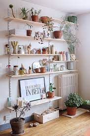 indoor plants decoration ideas