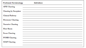 List The Primary Documentation Charting Formats Used