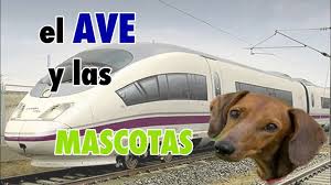 ▷ Viajar En Tren Con Perro España | Actualizado agosto 2022