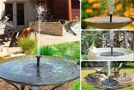 Best Bird Bath Fountain Ideas Because