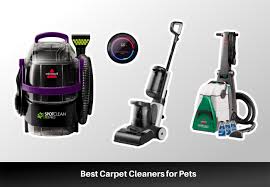 the best carpet cleaners for pets