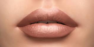 brown lipstick shades