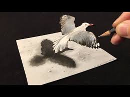 drawing a 3d flying bird how to draw