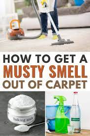 how to get a musty smell out of carpet
