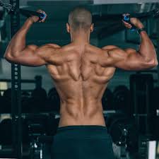 how to increase your muscle definition