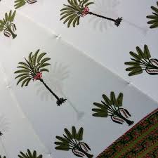 indian summer garden parasol bannana tree