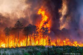 En images. Incendies en Gironde : l'inexorable progression des flammes