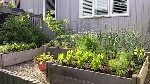 Small Space Vegetable Gardening Tips