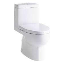 The standard height toilets are ideal for short people or children and beneficial to taller people to comfort height toilets with ergonomic design and dual flush systems ensure comfortable and. Kohler Reach One Piece Compact Elongated Dual Flush Toilet Costco
