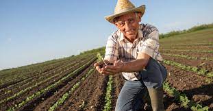 Persona que por oficio se dedica a cultivar la tierra: Agricultores Son Los Mas Beneficiados De Banca Para Desarrollo