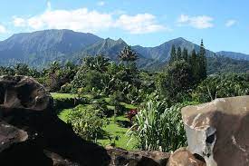 Princeville Botanical Gardens Tour And