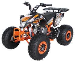 We did not find results for: 125cc Atv Fully Automatic W Reverse Utility 4 Wheeler Ace B125 7