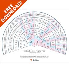Female Xdna Fan Chart Get This Easy Reference Document For