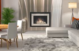 Glass Fireplace Doors Accessories