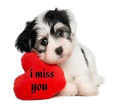 hd i miss you wallpapers peakpx