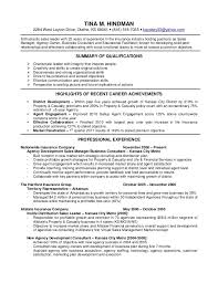 Resume Writers In Kansas City   Professional resumes sample online