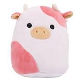 is-reshma-a-real-squishmallow
