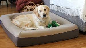casper dog bed review expensive but