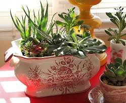 How To Make An Indoor Succulent Dish Garden