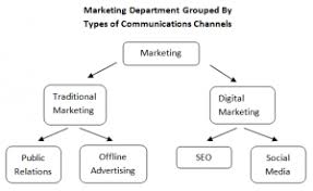 Factual Agency Organizational Chart Of Non Profit Marketing