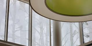 Etched Frosted Glass Panels Fgd