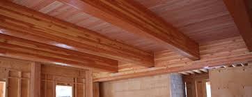 post and plate mass timber systems