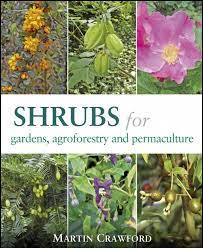Shrubs For Gardens Agroforestry And