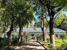 botanical gardens palermo street food