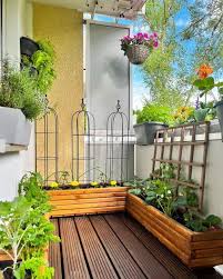 19 Balcony Gardening Tips To Follow