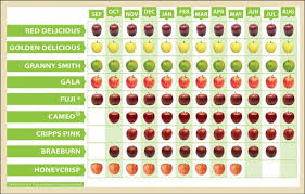 Types Of Apples List With Pictures Theres Also A Chart