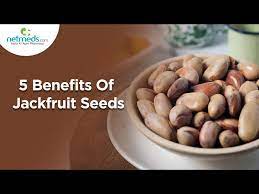 5 excellent benefits of jackfruit seeds