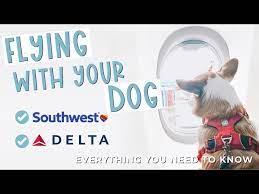 flying with your dog on southwest and