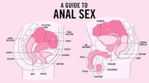Anal Sex Safety How Tos Tips And More Teen Vogue