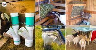 smart goat and sheep hay feeder ideas