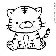 baby tiger ilration vector