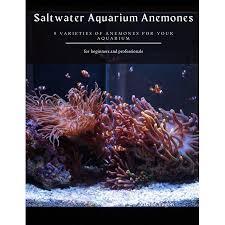 Injecter du gaz carbonique dans son aquarium; Must Have Saltwater Aquarium Anemones 8 Varieties Of Anemones For Your Aquarium Paperback From Viktor Vagon Accuweather Shop