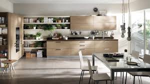 Contemporary Kitchens For Large And