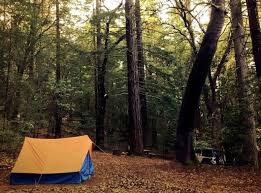 Campsites in henry cowell redwoods. Camping In The Great Park Santa Cruz