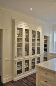Glass Front Storage Cabinets Ideas On